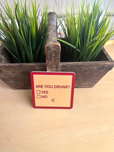 COASTER: Are You Drunk