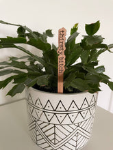 READY TO SHIP | Punny Plant Stakes/ Funny Plant Markers: Little prick
