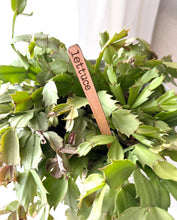READY TO SHIP | Garden Vegetable Herb Markers Stakes: Blackberries