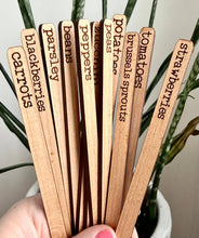 READY TO SHIP | Garden Vegetable Herb Markers Stakes: Basil