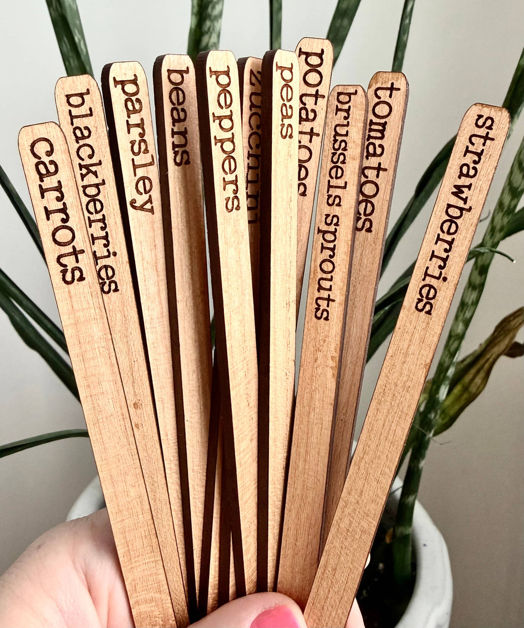 READY TO SHIP | Garden Vegetable Herb Markers Stakes: Basil